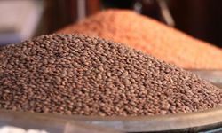 FAO: Küresel gıda fiyatları tahıl ve şeker fiyatlarındaki düşüşle mayısta geriledi