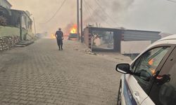 İzmir’de orman yangını kontrol altında