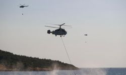 İzmir'in Aliağa ilçesinde orman yangını!