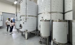 Kadın mühendis eşinin memleketinde devlet desteğiyle fabrika kurdu