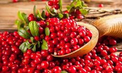 Kandaki CRP oranını düşürüyor, enfeksiyonu temizliyor! Vücuttan toksinleri atıyor