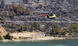 Manisa'nın Akhisar ilçesinde orman yangınına neden olan şüpheli tutuklandı