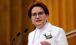 Meral Akşener'den 'Ferdi Zeyrek' paylaşımı