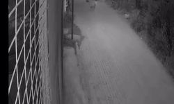 Motosikletiyle köpeğe çarpan sürücü 10 gün sonra öldü; kaza kamerada