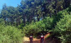 Muğla'da ormanlara girişler yasaklandı