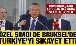 Özgür Özel şimdi de Brüksel'de Türkiye'yi şikayet etti