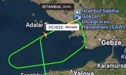 Sabiha Gökçen Havalimanı'nda pistte tavşan alarmı