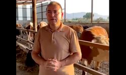 Sattığı kurbanın fotoğrafını çekmek isteyen iş insanının feci ölümü