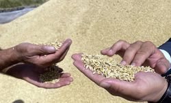 Türkiye'nin hububat ihracatı 5 ayda 5,2 milyar dolar oldu
