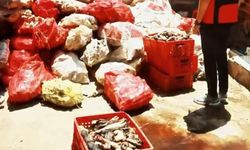 5 ton yakalandı! Hepsini vatandaşa yedireceklerdi...