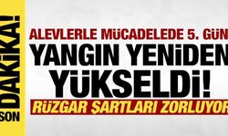 Bursa'da yangın 5. gününde! Alevler yeniden yükseldi, müdahale sürüyor!