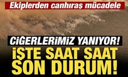 Ciğerlerimiz yanıyor: Ekiplerden canhıraş mücadele!... İşte saat saat son durum!