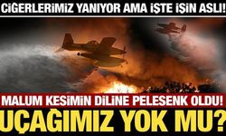 Ciğerlerimiz yanıyor! Malum kesimin diline pelesenk oldu! Uçağımız yok mu?