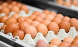 Fon kaldırıldı! Yumurta fiyatlarında ani yükseliş