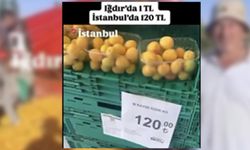 'Iğdır'da kayısı 1 TL, İstanbul'da 120 TL' paylaşımına milyonluk ceza