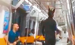 Metrodaki "tüfekli tavşan" yakalandı