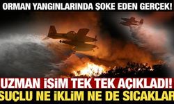 Orman yangınlarında şoke eden gerçek! Uzman isim tek tek açıkladı