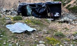 Yayla dönüşü korkunç olay: Karı-koca feci şekilde can verdi