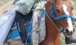 14 yaşındaki çocuğun acı ölümü: Av tüfeğiyle oynuyordu!