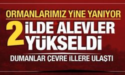 2 ilde orman yangını! Rüzgarın etkisiyle alevler büyüyor