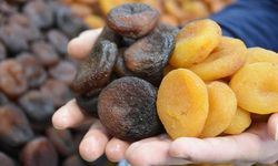 74 bin ton kuru kayısı ihracatı yapıldı! Malatya'dan sevindiren haber