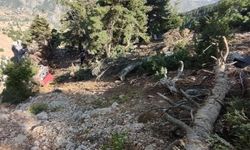 Adana'da feci kaza! Uçuruma yuvarlandılar