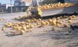 Düzce'de kaza: Kavunlar yola saçıldı
