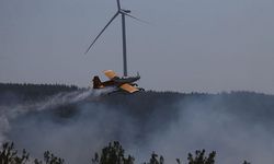 Bakanlıktan, Çanakkale'de yangında yanan ormanlık alanla ilgili açıklama geldi!