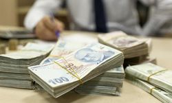Bankalarda unutulan yaklaşık 732,1 milyon lira TMSF'ye aktarıldı
