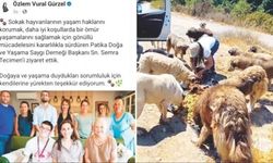 Beykoz'da vekil başkan mama lobisini ziyaret etti: Tepki geldi