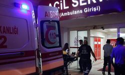 Bodrum'da dehşet! İki kişi ölü olarak bulundu!