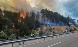 Bolu'da orman yangını başladı: Havadan ve karadan müdahale sürüyor