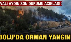 Bolu'da orman yangını kısmen kontrol altına alındı
