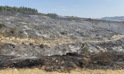 Çanakkale orman yangını kontrol altında