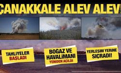Çanakkale ve Edirne'deki yangınlar büyüdü! Alevler hızla büyüyor