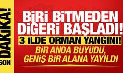 Çanakkale'de yangın bir anda büyüdü! 3 ilde orman yangını...