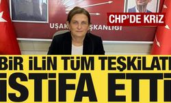 CHP Uşak İl ve Merkez İlçe yönetimleri istifa etti
