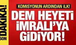DEM Parti heyeti İmralı'ya doğru yola çıktı! Komisyonun ardından ilk ziyaret