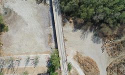 Denizli'de 852 yıllık gelenek kuruyan nehirde sembolik olarak yapıldı