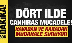 Dört ilde orman yangını! Müdahale sürüyor...