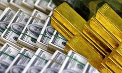 Döviz ve altın dönüşümlü KKM 12 milyar dolara geriledi