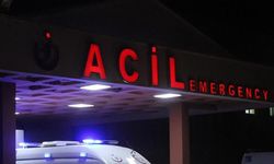 Erzincan'da kamyonet devrildi: 3 yaralı!