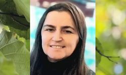 Fındık hasadında acı olay: Arının soktuğu kadın öldü