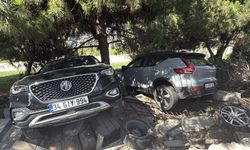 Fren yerine gaza bastı, ağaçlık alana uçtu!