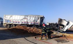 Gaziantep'te arpa yüklü tır yandı! Şoför hastaneye kaldırıldı