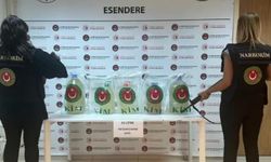 Hakkari'de tırın yakıt deposuna 33 litre sıvı metamfetamin ele geçirildi