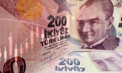 Hangi yatırım aracı ne kadar kazandırdı? TÜİK verileri paylaştı