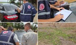 'Hayvanlarıma yem olarak verdim' dedi, cezadan kurtulamadı!