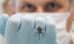 İngiltere’de kırmızı alarm: ‘Pencereleri kapatın!’ uyarısı!