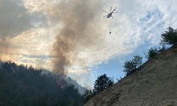 Karabük’te orman yangını